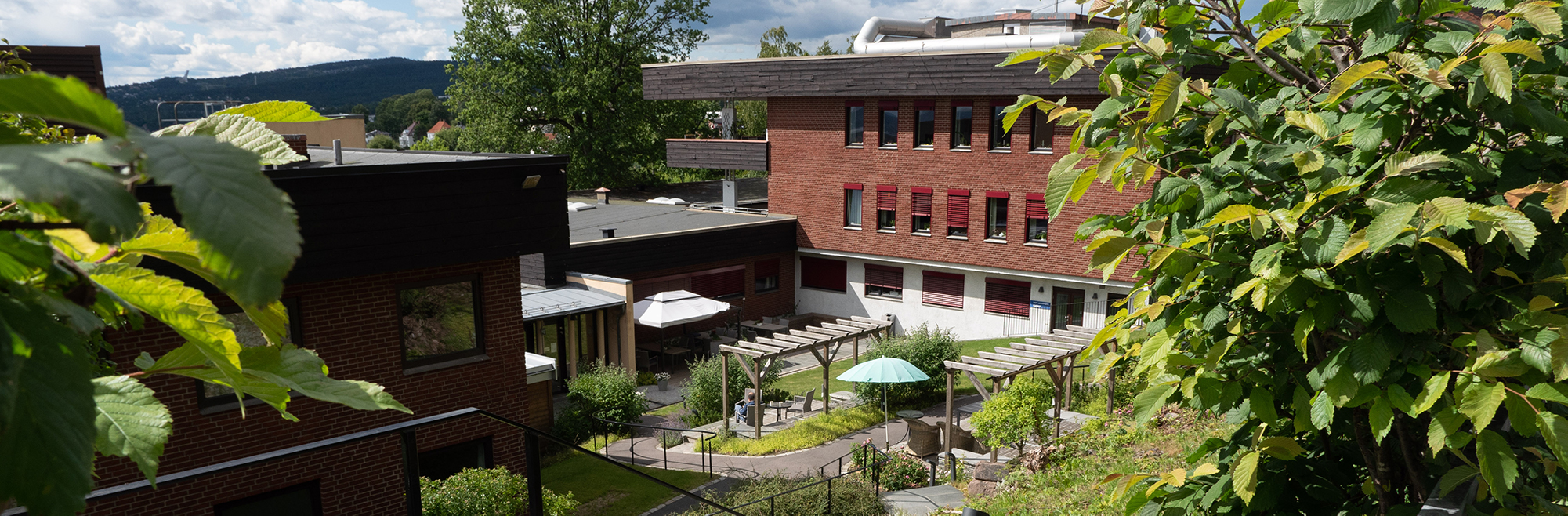 Grefselia_utsikt_fra_hagen